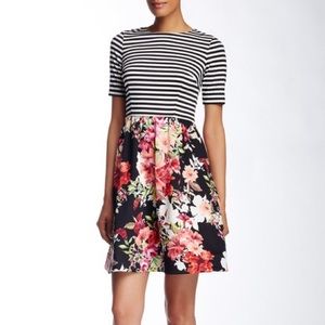 Eliza J Floral Stripe Fit + Flare Dress